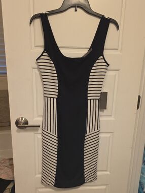 Zara Black & White Striped Tank Sheath Dress